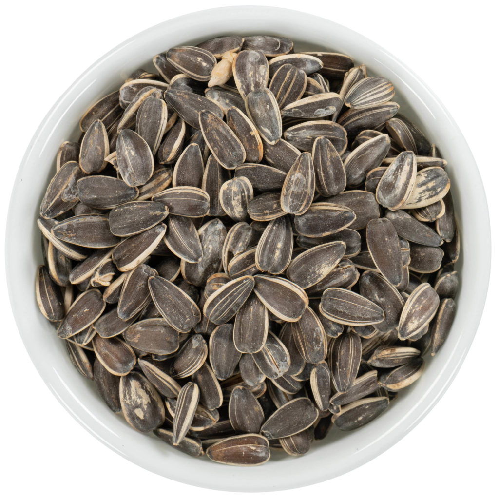 InShell Sunflower Seeds with salt David Roberts Food Corp
